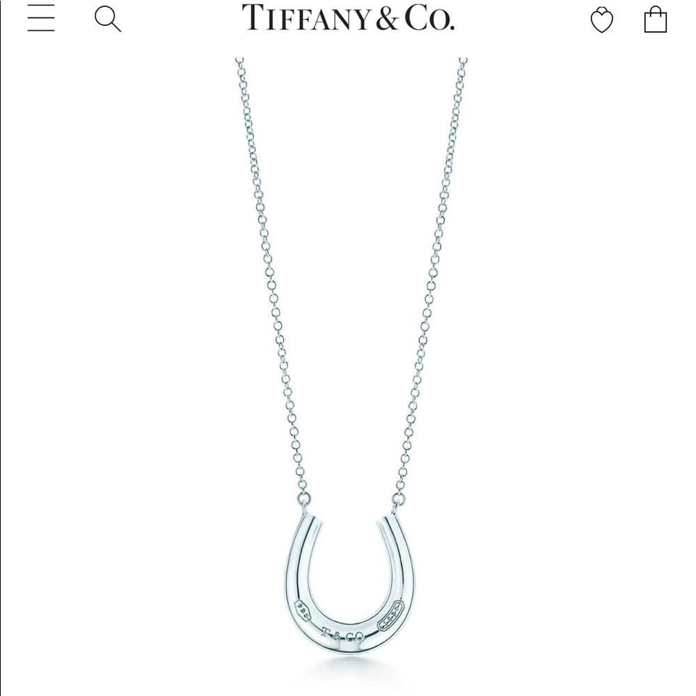 Tiffany & Co. Necklace